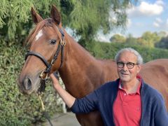 Tiara Hilleshage, die kleine Schwester von Torquator Tasso, mit ihrem Züchter Paul H. Vandeberg als Jährling im Gestüt Erftmühle. ©Dequia - Frauke Delius