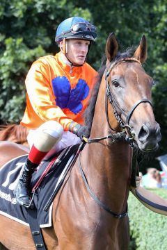 Topan mit Martin Seidl vor seinem Lebensdebüt in Hannover. ©galoppfoto - Sabine Brose