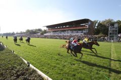 Torquator Tasso gewinnt den Großen Preis von Berlin gegen Dicaprio und Kaspar. www.galoppfoto.de - Sabine Brose