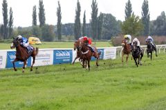 Eine leichter Sieg für die Doyen-Tochter Toward Glory mit Bayarsaikhan Ganbat. www.galoppfoto.de - Frank Sorge