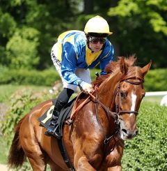 Tusked Wings am 14.5.2017 in Krefeld - Foto: Dr. Jens Fuchs