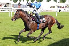 Überzeugend: Protectionist mit Eduardo Pedroza gewinnt den pferdewetten.de Hansa Preis. www.galoppfoto.de - Sabine Brose