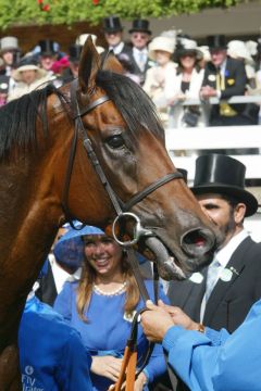 Refuse to Bend 2004 in Royal Ascot. www.galoppfoto.de