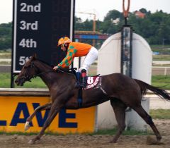 Unverzagt gewinnt mit Zeljko Ilic im Sattel die Serbischen Oaks in Belgrad. Foto: offiziell