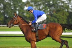 Natürlich heißt die Siegerin im Preis des Gestüts Winterhauch Dancing Sands, die 23:10-Favoritin gewinnt leicht mit Anthony Crastus. Foto: Ursula Stüwe Schmitz