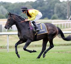 Vallano am 24.6.2018 in Dortmund - Foto: Dr. Jens Fuchs