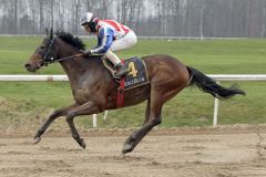 Victorio gewinnt mit Jose Luis Silverio am 16.01.2022 in Dortmund. ©galoppfoto - Stephanie Gruttmann