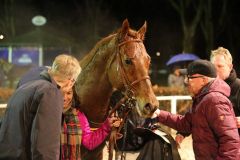 Beginnt das Rennjahr 2015 so wie er das von 2014 beendet hat: Victorious gewinnt mit Alexander Pietsch im Sattel. Foto: Dr. Jens Fuchs