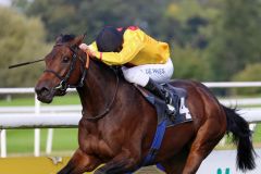 Dreimal sah Virginia Sun in diesem Jahr die Konkurrenz nur von hinten, jetzt gewann die Doyen-Tochter mit Adrie de Vries das St. Leger in Dortmund mit deutlichem Vorsprung. Foto: Dr. Jens Fuchs