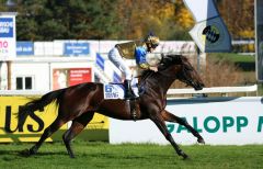 Ein leichter Sieg für Volcancito unter Jozef Bojko für den Stall Blue Diamond im letzten BBAG-Auktionsrennen der Saison. Foto: Dr. Jens Fuchs