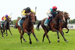 Wadeshda (rechts)  gewinnt mit Andreas Helfenbein. www.galoppfoto.de - Sabine Brose