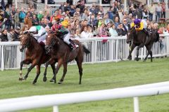 Ein Kopf-an-Kopf-Rennen die Zielgerade herunter mit dem besseren Ende für Wai Key Star (Bertrand Flandrin/links) vor Va Bank (Eduardo Pedroza). www.galoppfoto.de - Sarah Bauer