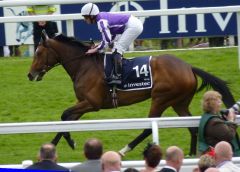 Was beim Aufgalopp in Epsom. Foto: Heidrun Küster