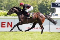 Wasilios gewinnt mit Marc Timpelan am 12.05.2019 in Hoppegarten. ©galoppfoto - Sabine Brose