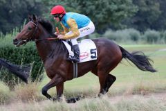 Well Spoken mit Adrie de Vries beim Aufgalopp zum Düsseldorfer Maidenrennen am 02.10.2016. Foto: Dr. Jens Fuchs 