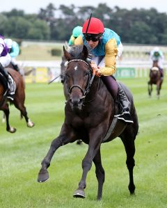 Weltstar und Adrie de Vries gewinnen die Union am 17.6.2018 in Köln - Foto: Dr. Jens Fuchs