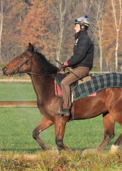 Emerald Fury November 2011  Foto: www.Rennstall-Woehler.de