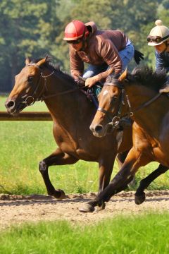 Chopin (li) mit Protectionist Juli 2012  Foto: www.Rennstall-Woehler.de