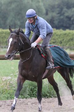 Kings Messenger Juli 2011 Foto: www.Rennstall-Woehler.de