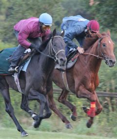 Jammy Shot Derby-Galopp Juli 2010  Foto: www.Rennstall-Woehler.de