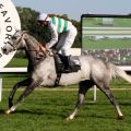 Das Ziel 'Black Type-Sieg" erreicht: Die Schimmelstute Alwilda aus England gewinnt das Silberne Band mit Adrie de Vries im Sattel. www.galoppfoto.de - Sandra Scherning