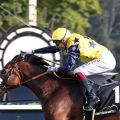  Grocer Jack mit Alexander Pietsch gewinnt den 31. Preis der Deutschen Einheit in Hoppegarten. ©galoppfoto - Sabine Brose