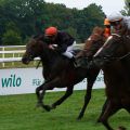 Kampfankunft im St. Leger 2013: Mit einem kurzen Kopf vor Saratino avanciert Hey Little Görl zur klassischen Siegerin. Foto: Karina Strübbe