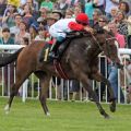 Alcohuaz mit gewinnt mit Elione Chaves den Sprint-Cup in Hoppegarten. www.galoppfoto.de - Sabine Brose