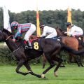 Amorello lanet mit Wladimir Panov in Hoppegarten seinen ersten Sieg. www.galoppfoto.de - Marlin Luc