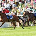 Ashrun gewinnt eindrucksvoll das letzte Vorbereitungsrennen auf das Derby. www.galoppfoto.de - Sabine Brose