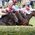 Aus der Reihe - mit der Nase vorn: Flying Dreams mit Jozef Bojko gewinnt in Hoppegarten. www.galoppfoto.de - Frank Sorge