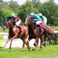 Be My Star und Alexander Pietsch halten La Cecilia und Kordestan leicht in Schach (Foto: Dr. Jens Fuchs)