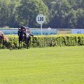 Fünf Längen liegen zwischen Chantilly und Andrasch Starke zu der Konkurrenz in Hoppegarten. www.galoppfoto.de - Sabine Brose