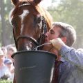 Carlos, der Pfleger von French King küsst diesen nach dem Sieg im 129. Longines Grosser Preis von Berlin. www.galoppfoto.de - Sabine Brose