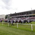 Die Teilnehmer im 147. Deutschen Derby vor der Tribüne. www.galoppfoto.de - Frank Sorge