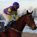 Elsie Partridge landet für den Champion der Besitzertrainer, Lucien van der Meulen, unter Cecilia Müller den letzten Treffer des Jahres 2014. Foto: Dr. Jens Fuchs