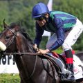 Erster Sieger und beim zweiten Start auch gleich der erste Sieger für Wiesenpfad: Abendwind mit Alexander Pietsch gewinnt das Zweijährigen-Rennen in Düsseldorf. www.galoppfoto.de - Sebastian Höger