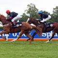 Erster Start, erster Sieg für Gestüt Etzeans Forever Beauty mit Terence Hellier. Nach dem Zieldurchlauf ging der Derbysieg-Reiter jedoch unfreiwillig von Bord ... www.galoppfoto.de - Sabine Brose