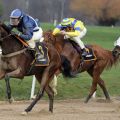 Der Champion setzt den Schlusspunkt: Bauyrzhan Murzabayev gewinnt das letzte Rennen des Jahres mit Eyes on Fire. www.galoppfoto.de - Stephanie Gruttmann 