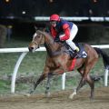 Gelungener Auftakt für Titelverteidigerin Lena Mattes, die Amateurreiterin steuert Salimera im 1. Lauf zur Perlenkette in Neuss zum Sieg. Foto: Dr. Jens Fuchs