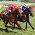 Heißes Finish in der 151. Casino Baden-Baden Goldene Peitsche: Kitty Marion, eine 5j. Iffraaj-Tochter, trainiert von Guillermo Elosegu, geritten von Vaclav Janacek kommt mit einem Hals Vorsprung vor Majestic Colt ins Ziel. ©galoppfoto - Sabine Brose 