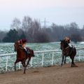 Königsadler siegt mit Rene Piechulek im RaceBets.com-Championspreis, Agl. II, am letzten Renntag des Jahres 2014 in Dortmund. Foto: Dr. Jens Fuchs