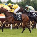 Beim 6. Anlauf klappt's: Laterani gewinnt mit  Wladimir Panov den Aufgalopp mit IDEE Kaffee in Dresden. ©galoppfoto - Sabine Brose