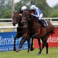 Long Cross gewinnt mit Jozef Bojko im Agl. II am 21.06.2015 in Dortmund. Foto: Dr. Jens Fuchs