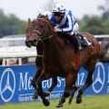 Long Cross gewinnt mit Jozef Bojko im Agl. II am 21.06.2015 in Dortmund. Foto: Dr. Jens Fuchs