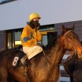 Nuri Bey gewinnt für den Stall KT und Trainer Sascha Smrczek in Neuss. Foto: Dr. Jens Fuchs