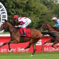 Löste ihre Aufgabe beim Debut leicht: Die Soldier Hollow-Tochter Nymeria siegte mit Alexander Pietsch für den Stall Grafenberg für Peace of Paradise (Eugen Frank). Foto: Dr. Jens Fuchs