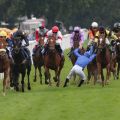 Pferd und Reiter unverletzt: Jockey Antoine Werle nach seinem Sturz von Emirates Rewards. www.galoppfoto.de - Frank Sorge