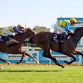 Protectionist (Jozef Bojko) vor Agama (Martin Seidl) im Zweijährigen-Rennen. www.galoppfoto.de - Sabine Brose