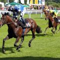 Überzeugend: Protectionist mit Eduardo Pedroza gewinnt den pferdewetten.de Hansa Preis. www.galoppfoto.de - Sabine Brose